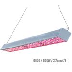 UV LED Supplemental Grow Lights Lm301b 60Hz For Medical Herbs