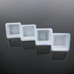 Disposable Mooncake Blister PP Tray Plastic Biscuit Dessert Box Food Grade