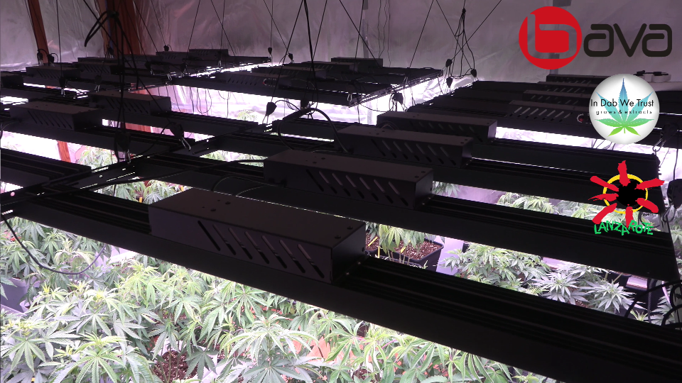 800W 730nm Far Red Led Strip LED Grow UV Samsung LED Grow Light Bar