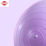 Fitness yoga ball of 65cm Anti Burst PVC Gym Ball