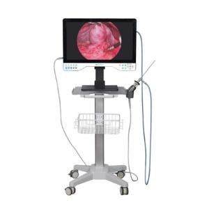 Quality 24in TUYOU Nasopharyngoscope Endoscope Camera Recorder For High Definition Laparoscopy Surgeries wholesale