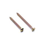 304 410 Stainless Steel Countersunk Torx Terrace Decking Screw for Customized