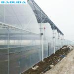 Hot Dipped Galvanized Steel PE Plastic Film Greenhouse 150mic 200 Micron