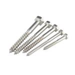 DIN571 Self Tapping Screw ANSI ASME Stainless Steel Hexagon Head