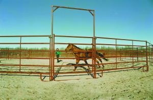 Quality Galvanized Steel Metal Farm Gate Powder Coated Livestock Horse Corral Fencing wholesale