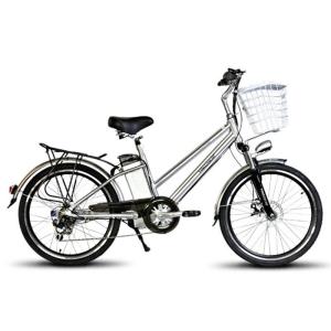 Quality 24 Inch Unisex Electric City Bicycles NO Foldable 250W 48V 10AH Lithium Battery wholesale