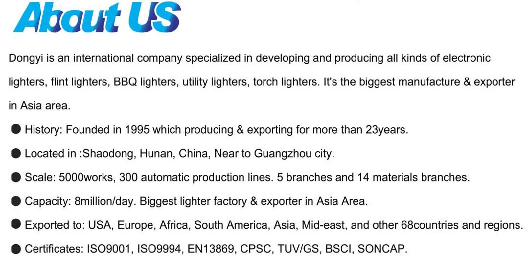 2021 Hunan Dongyi New Develop BBQ Gas Kitchen Electric Lighters with ISO22702 Certification