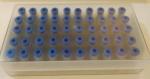 High Strength Dental Filling Material Amalgam Alloy Capsule 43%Ag 32%Sn 25%Cu