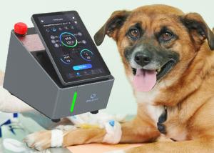 Quality 10min Veterinary Laser Therapy Machine 915nm Equine Laser Therapy Equipment wholesale