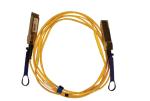 56Gb/S QSFP+ Mellanox Fdr 100g AOC Cable MC220731V-005