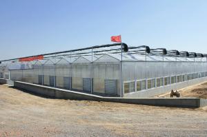 Quality Stable Structure Galvanized Steel Greenhouse Single / Double Layer Available wholesale