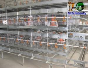 Quality professional poultry cages wholesale
