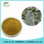 Phamaceutical Ingredient High Quality Low Price Loss Weight Product Cactus