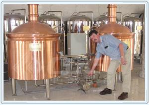 Quality Industrial Fermentation Tank Small Beer Brewery Equipment Red Copper Material wholesale