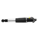 23290661 Rear Car Shock Absorber With Metal Construction