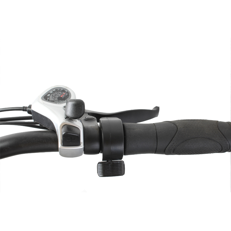 DOMANCA 2024 Vintage Off-road E Bike with Max Speed of 30-50Km/h and Range of 31-60 km