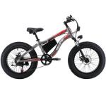 Aluminum 20 Inch Fat Tire Electric Bike 750 Watt