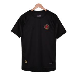 Quality 150th Anniversary Aston Villa Jersey 2025-2026 Season Special Edition Customization wholesale