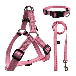 Quality Personalized Buckle Waterproof Dog Leash wholesale