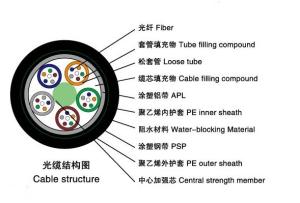 Quality multi mode Stranded Loose Tube Armored Cable(GYTA53) wholesale