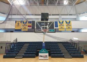 Quality Indoor Sport Hall Power Operated Retractable Seating with Bench Seating Customized Color wholesale