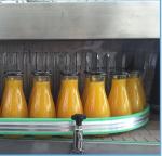 Mango pineapple juice processing machineplant/ juicer production line price