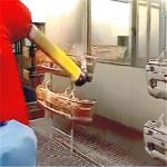ABB six axis Spray Painting Robot