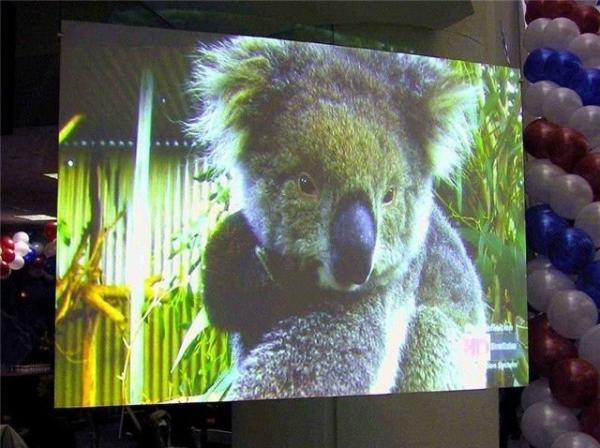 Transparent Advertising Hologram Holographic Projection Film Thickness 100-125