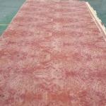 High Grade 0.30MM African Red Wood Veneer Burl Sheet for Luxury Decoration