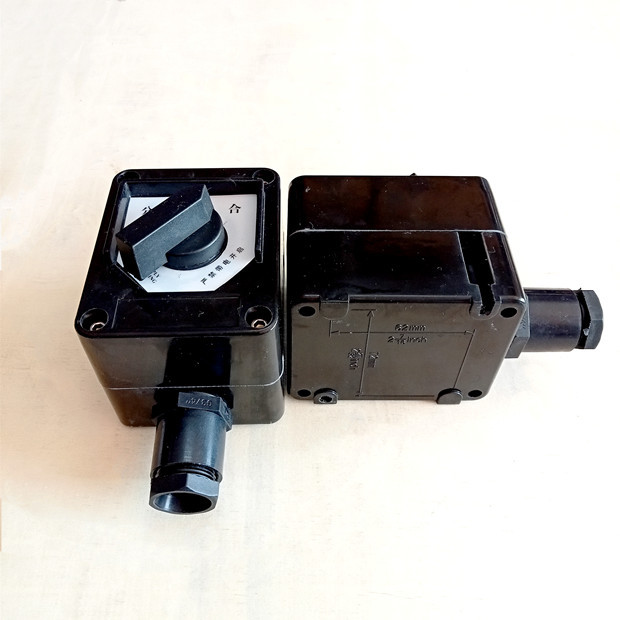 Flame Explosion Proof Light Switches 2 Position Selector 220VAC GRP