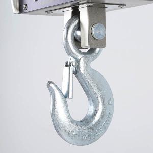 Quality Stainless Steel Hanging Crane Scale 300kg 500kg A12e Indicator wholesale
