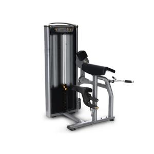 Quality Commercial Gym Matrix Strength Training Equipment / Biceps Curl Machine wholesale