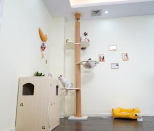 Quality Large Wooden Cat Climbing Tree Floor To Ceiling Playing House 82*40*87cm wholesale