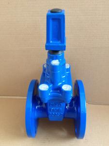 Quality (DIN) Cast Iron Resilient Gate Valve nor-rising stem wholesale