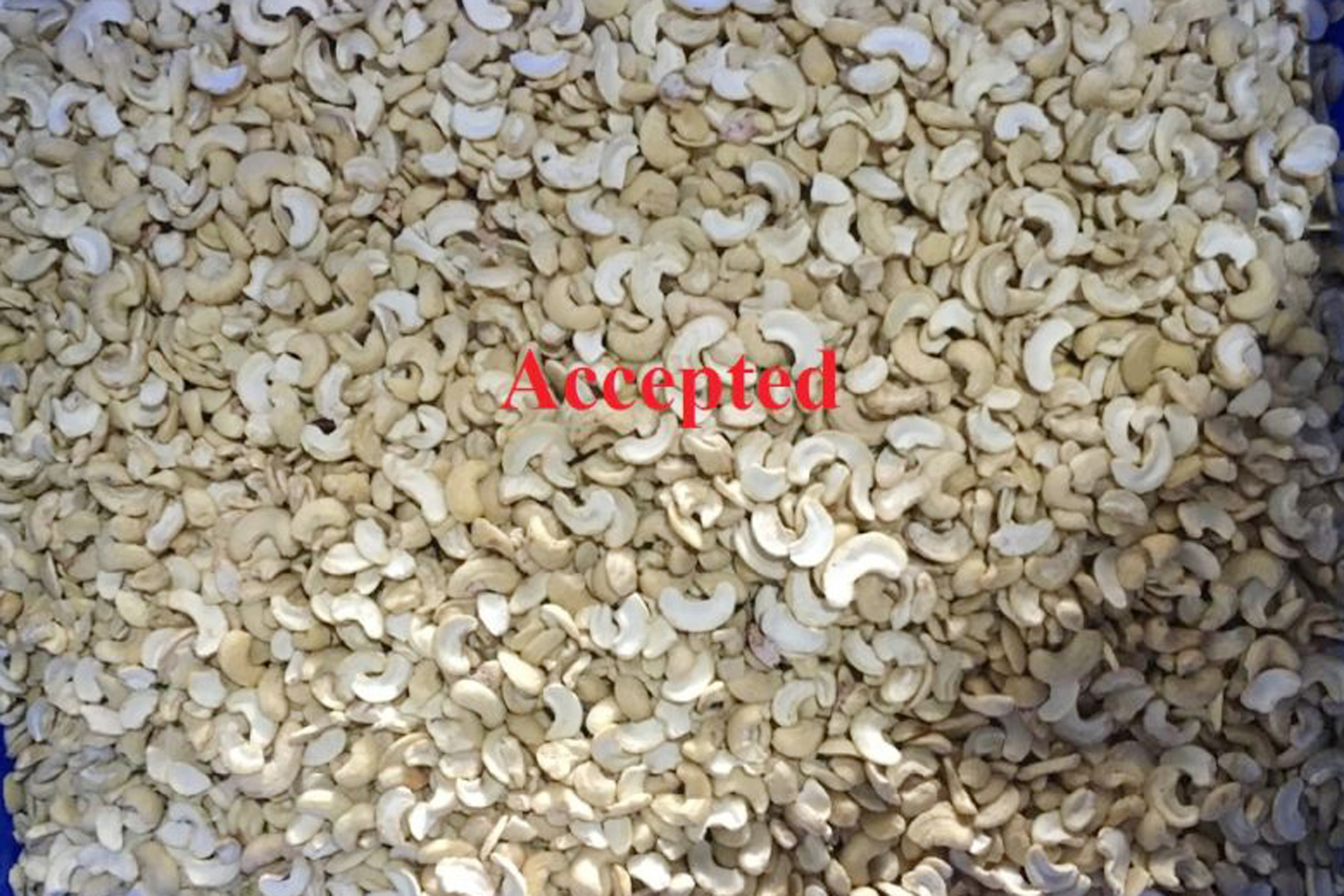 Two Channels Cashew Nuts Color Sorter Full Color 99.9% Sorting Accuracy