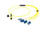 12 Fibre Singlemode Mpo To Lc Breakout Cable ISO9001 Approval