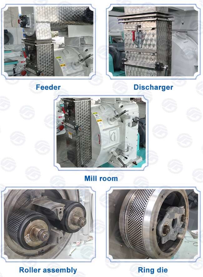 2mm 3mm Livestock Pellet Machine Animal Feed Pellet Machine Processing
