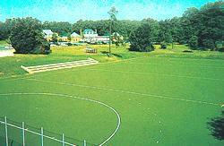 Quality Green Olympic Performance Artificial Turf Sports for Hockey Basketball Courts wholesale