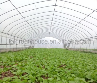 Film Covered Galvanized Greenhouse for Stable Structure and Vegetable Cultivation