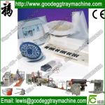 EPE Plastic foam sheet extruder plant