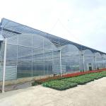 Multi-span Agricultural Poly Tunnel Greenhouse With UV Resistant Plastic