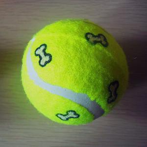 Quality 3'' Bone Tennis Ball wholesale