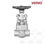 Threaded End Valve Stainless Steel F304 Dn25 800LB Handwheel Operation