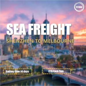 Quality International Sea Freight from Shenzhen to Melbourne Australia Direct Sailing wholesale