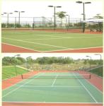 Green PE Fiber Material Synthetic Grass Tennis Courts With 38mm Needle Distance