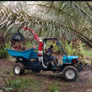 Quality Open Cab Tractor for Palm Oil Plantations with PTO Speed 240-1340rpm and Agricultural Tire wholesale