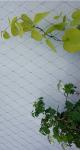 Smooth Surface Stainless Steel 316 Wire Rope Mesh For Plant climbing