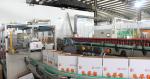 Imported AROL Capping SS316 Fruit Juice Aseptic Filling Machine