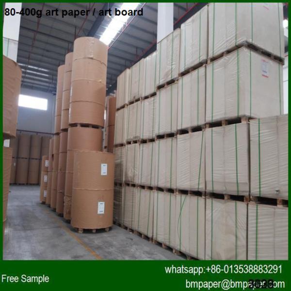 Cheap C2S Coated Art Paper 100g for sale