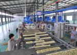 100 000 Cakes Automatic Noodle Making Machine For 510mm Roller Fried Bag